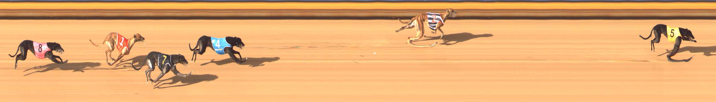 Photo finish for Bendigo Race 11