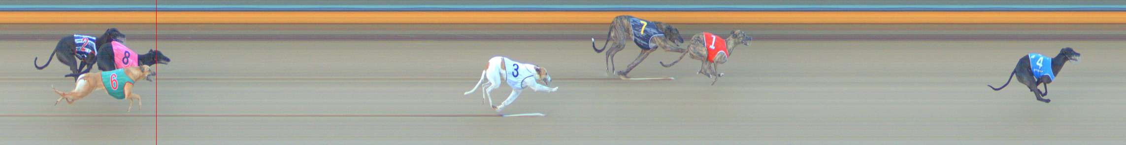 Photo finish for Bendigo Race 2