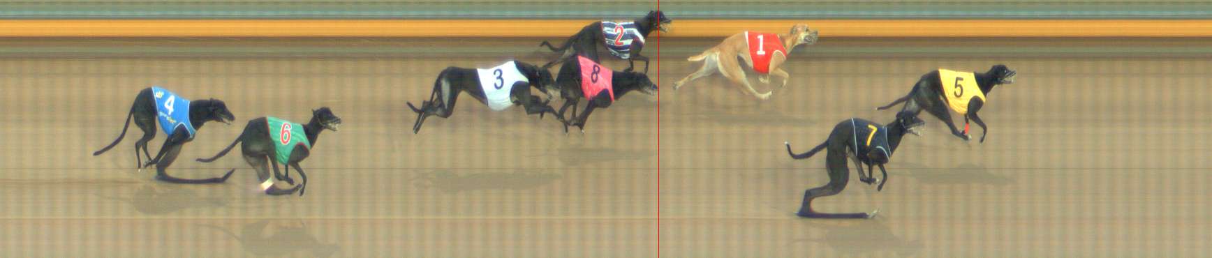 Photo finish for Bendigo Race 3