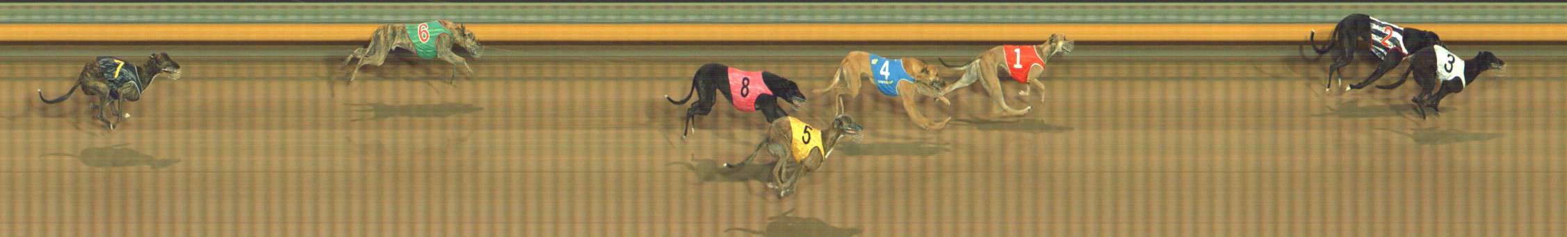 Photo finish for Bendigo Race 4