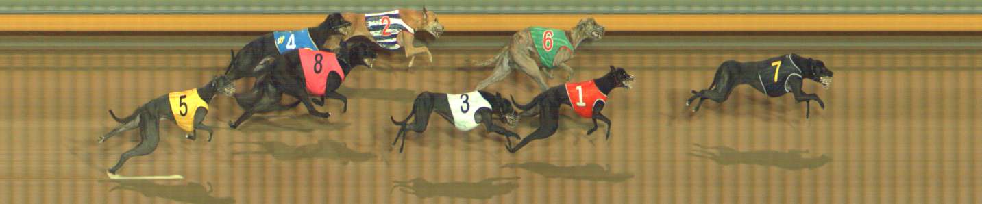 Photo finish for Bendigo Race 5