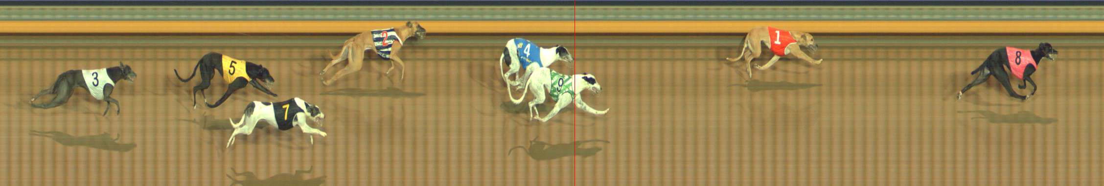 Photo finish for Bendigo Race 6