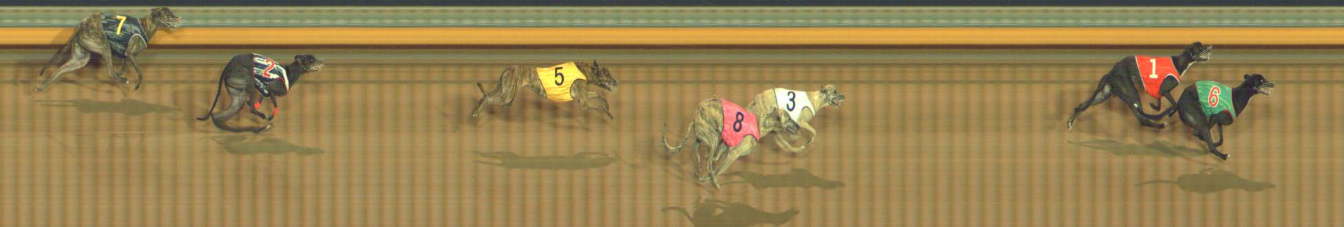 Photo finish for Bendigo Race 7