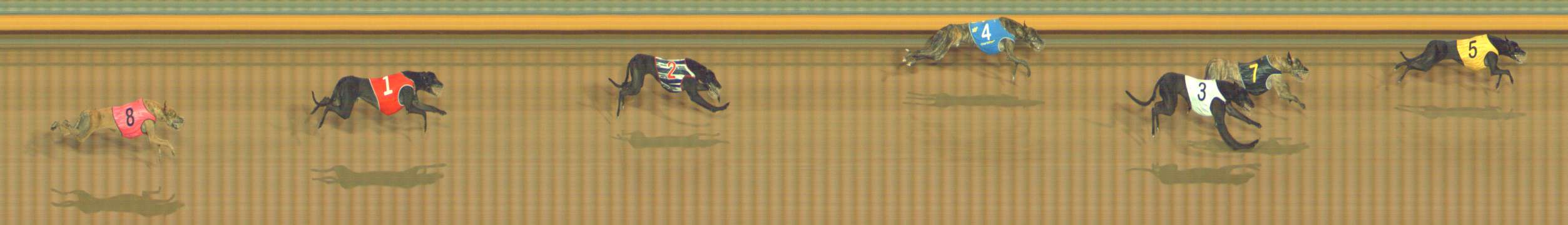 Photo finish for Bendigo Race 8