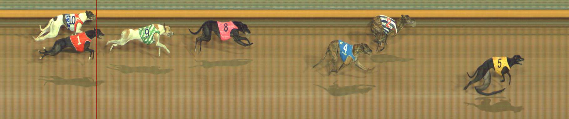 Photo finish for Bendigo Race 10