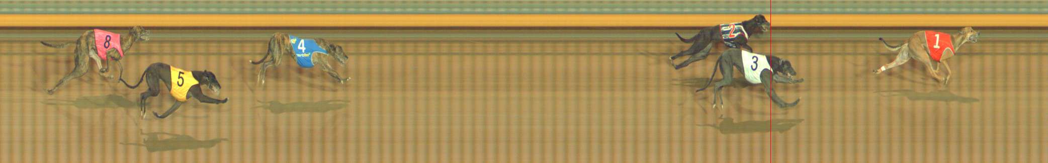 Photo finish for Bendigo Race 11