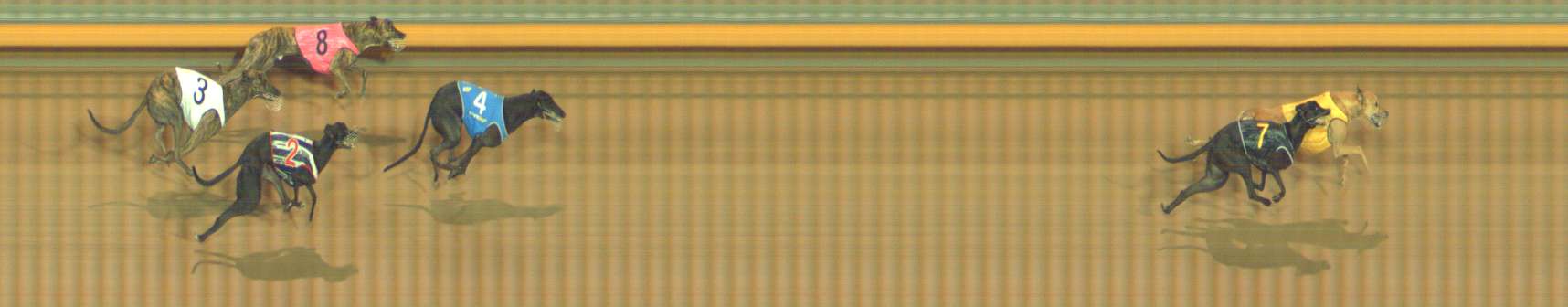 Photo finish for Bendigo Race 12