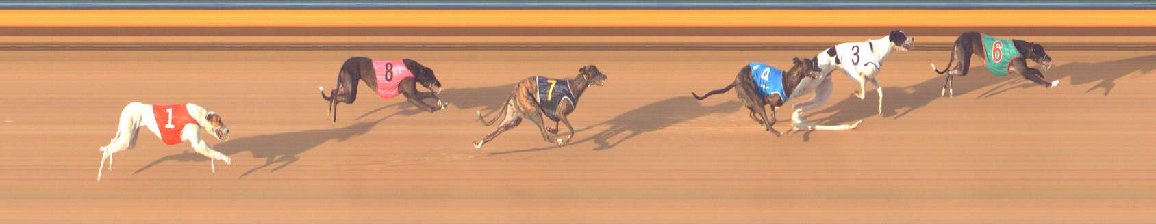 Photo finish for Bendigo Race 1