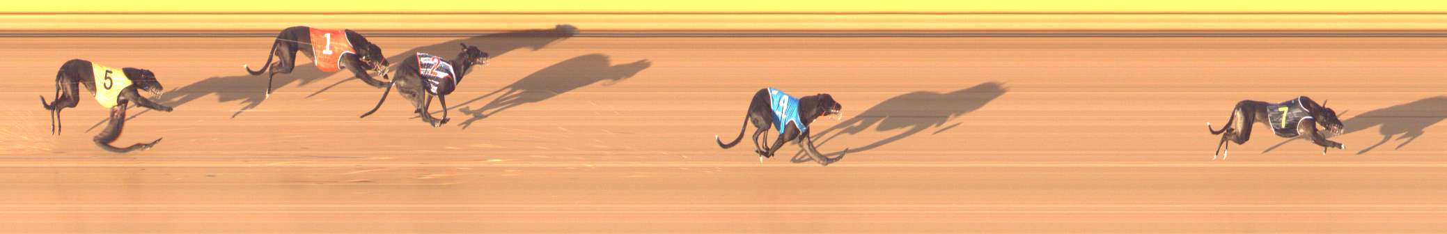 Photo finish for Bendigo Race 2