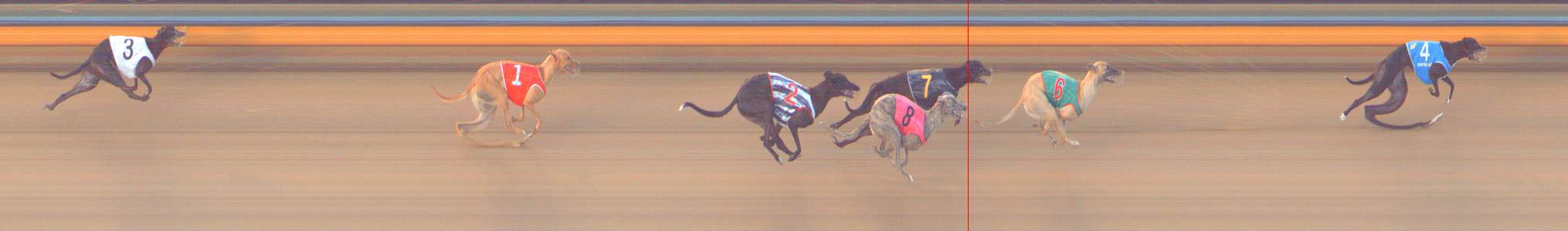 Photo finish for Bendigo Race 3