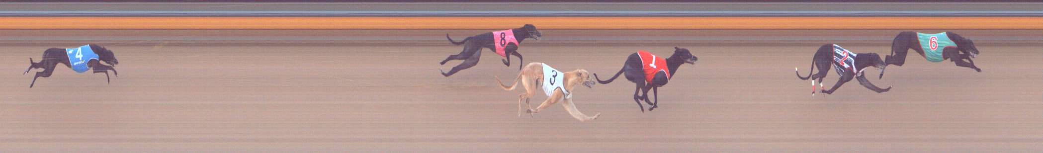 Photo finish for Bendigo Race 5