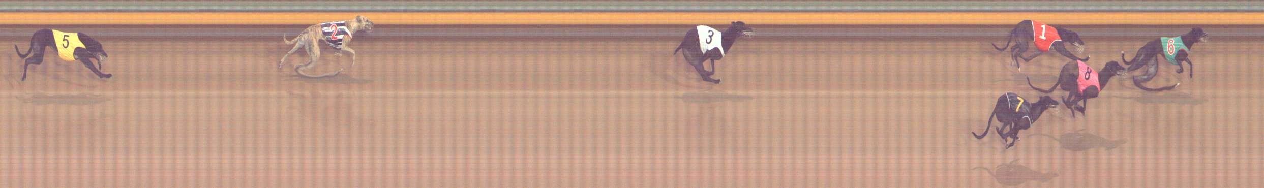 Photo finish for Bendigo Race 6