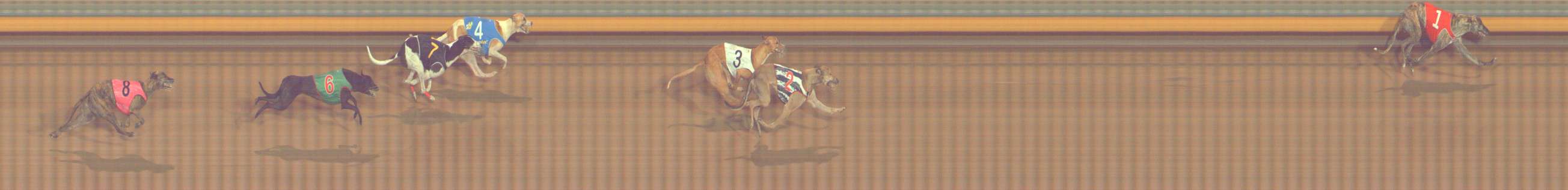 Photo finish for Bendigo Race 8