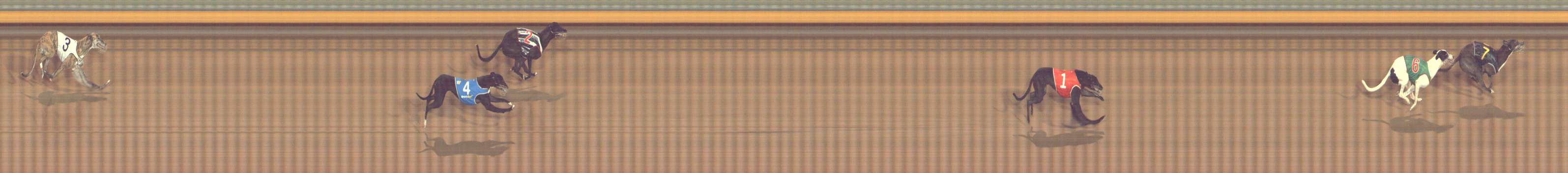 Photo finish for Bendigo Race 9