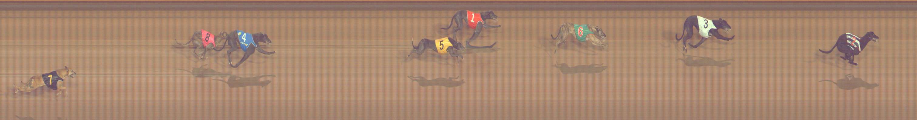 Photo finish for Bendigo Race 10