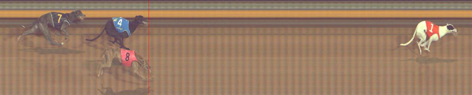 Photo finish for Bendigo Race 11