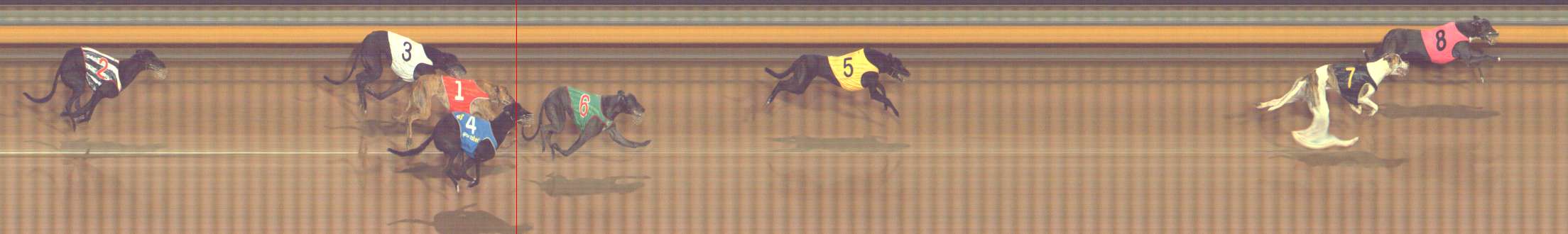 Photo finish for Bendigo Race 12