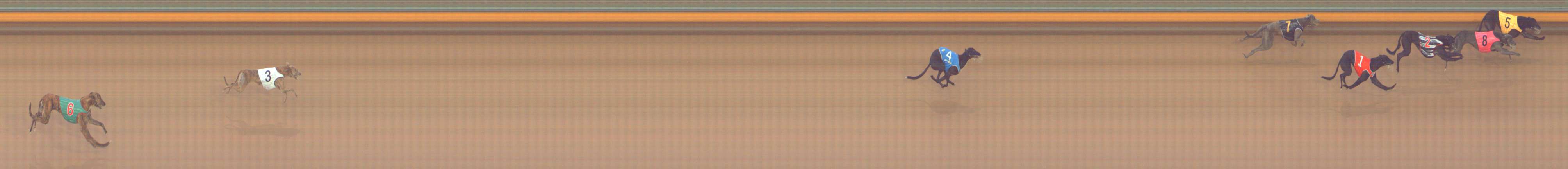 Photo finish for Bendigo Race 1