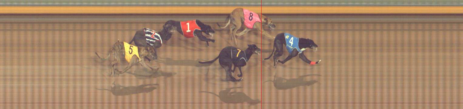Photo finish for Bendigo Race 3