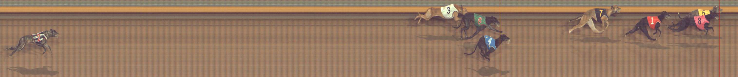 Photo finish for Bendigo Race 5