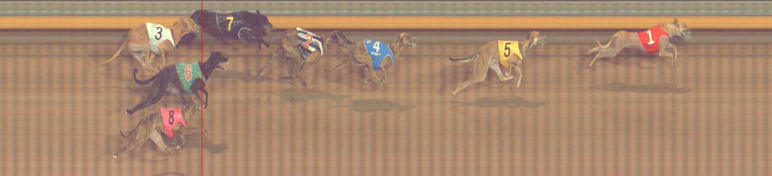 Photo finish for Bendigo Race 6