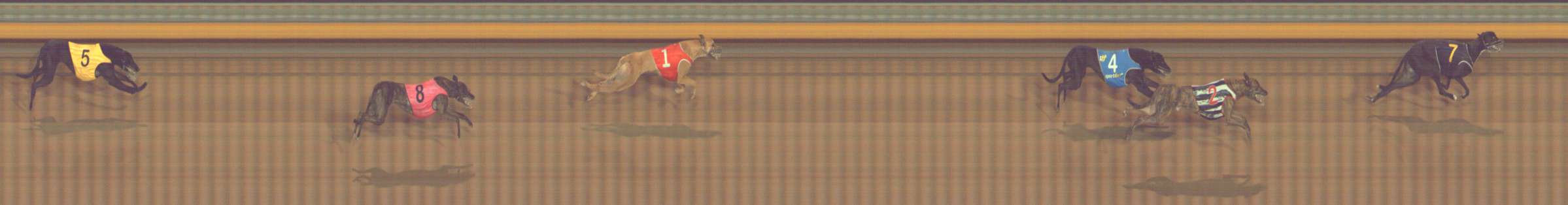 Photo finish for Bendigo Race 7