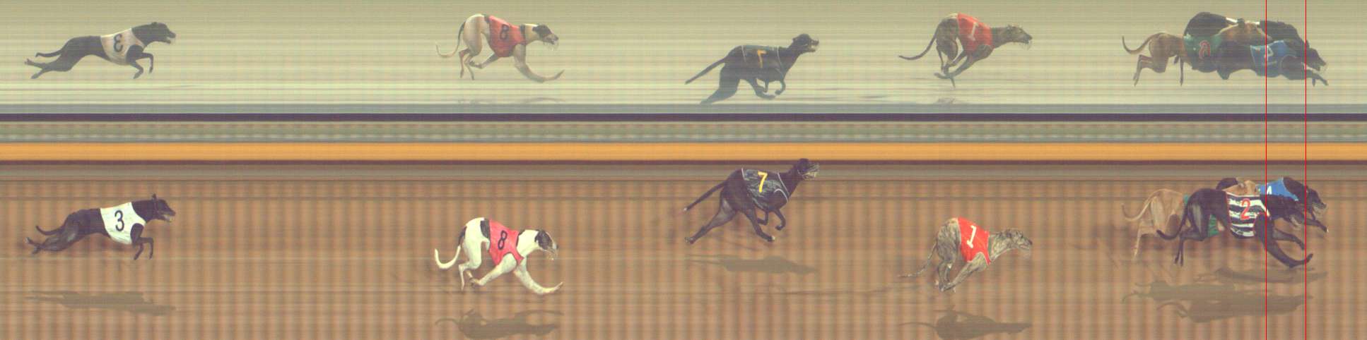 Photo finish for Bendigo Race 8