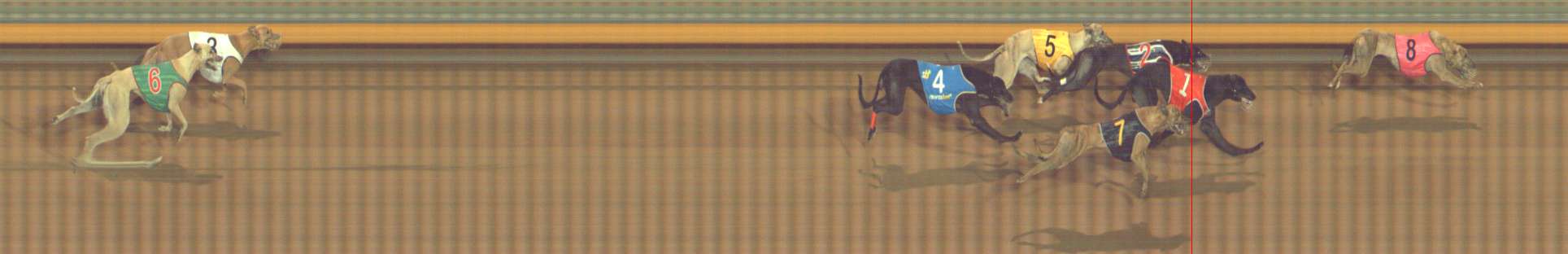 Photo finish for Bendigo Race 12