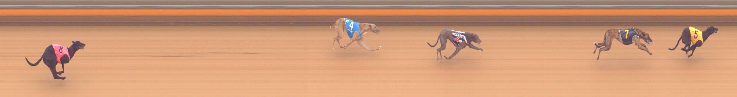 Photo finish for Bendigo Race 2