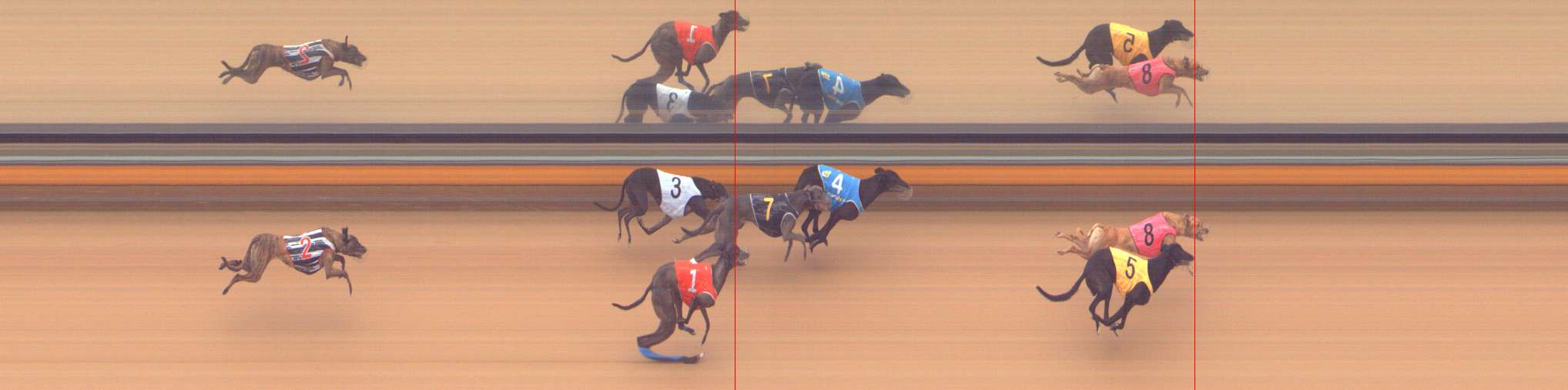 Photo finish for Bendigo Race 5