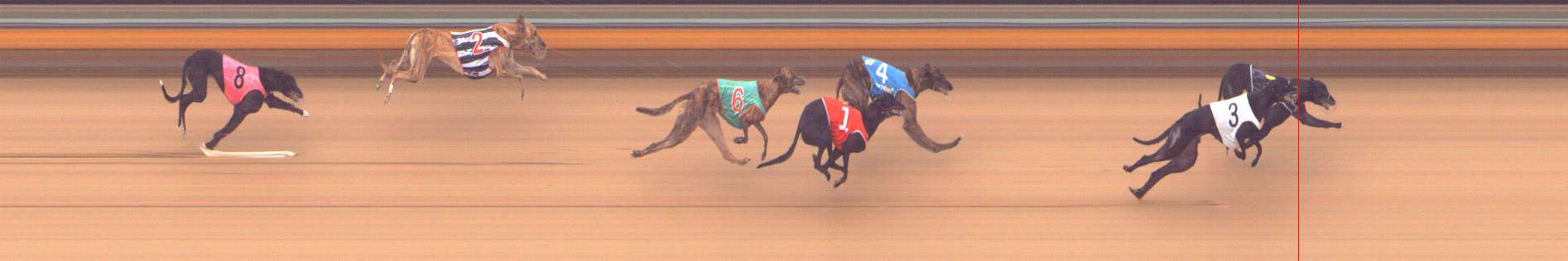 Photo finish for Bendigo Race 6