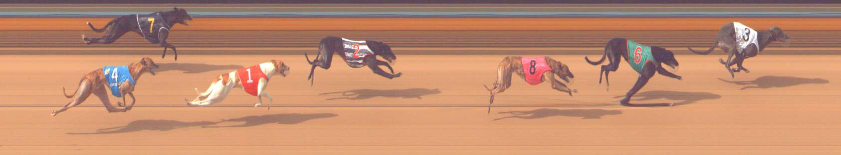 Photo finish for Bendigo Race 7