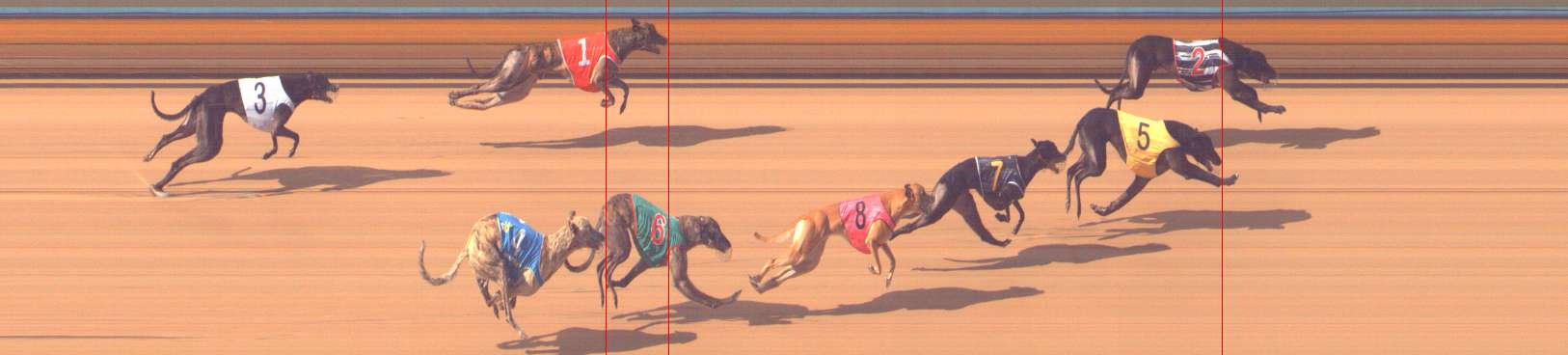 Photo finish for Bendigo Race 8