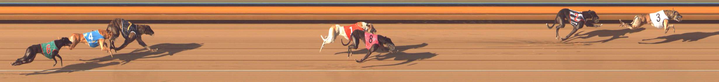 Photo finish for Bendigo Race 11