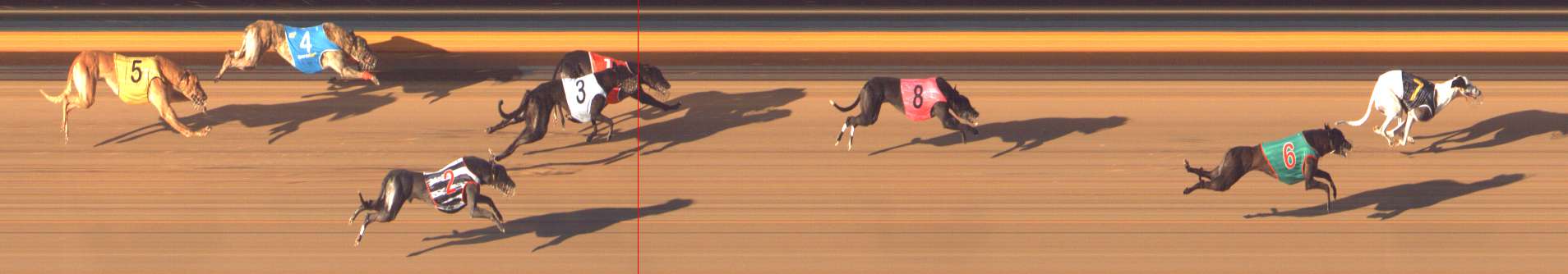 Photo finish for Bendigo Race 12