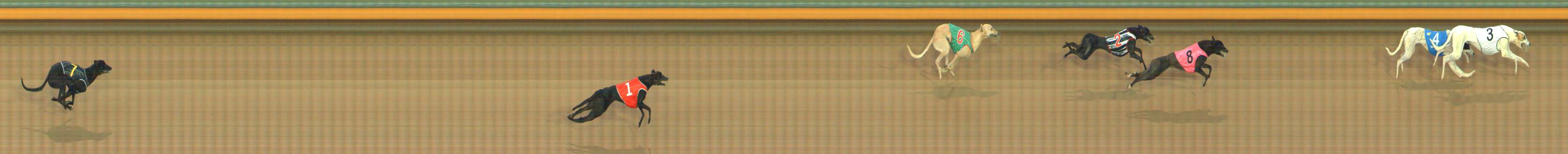 Photo finish for Bendigo Race 1