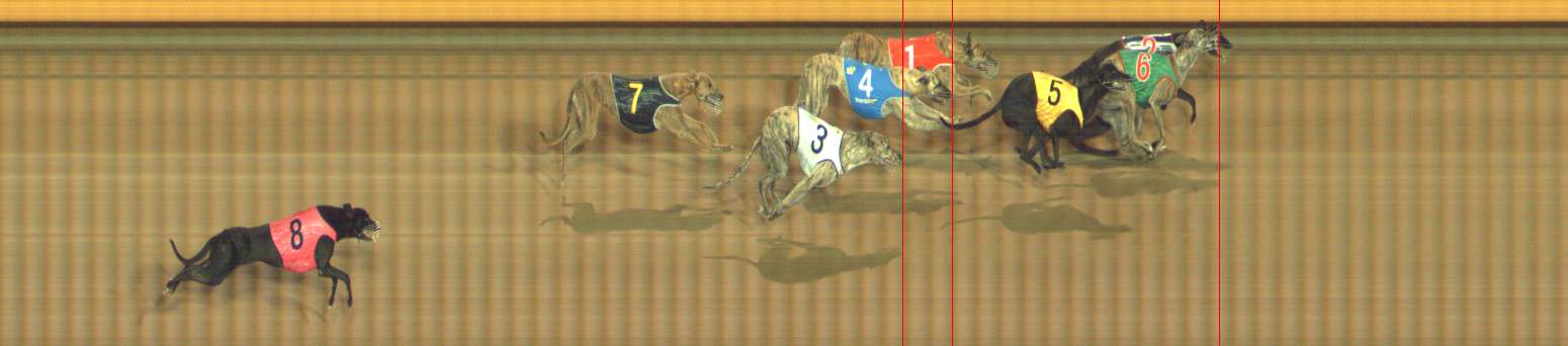 Photo finish for Bendigo Race 3
