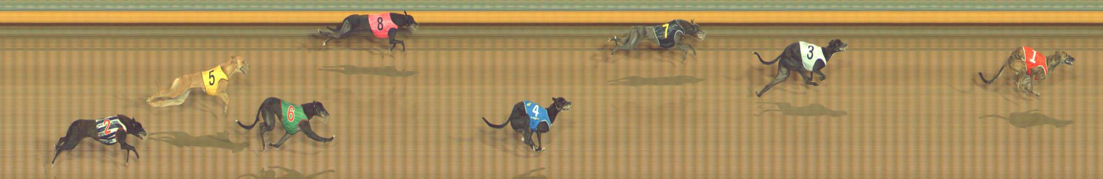 Photo finish for Bendigo Race 4