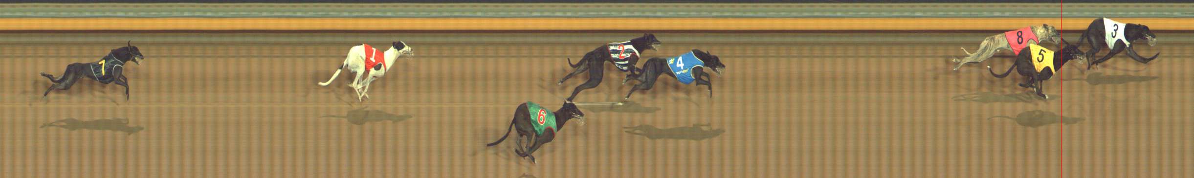 Photo finish for Bendigo Race 5