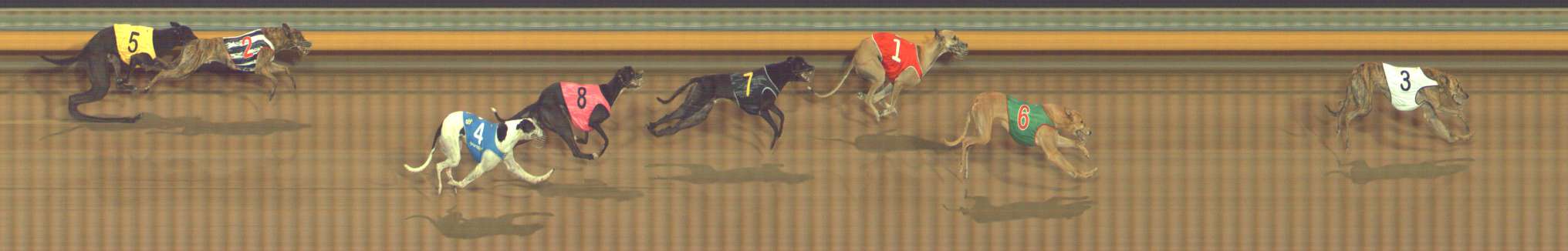 Photo finish for Bendigo Race 9