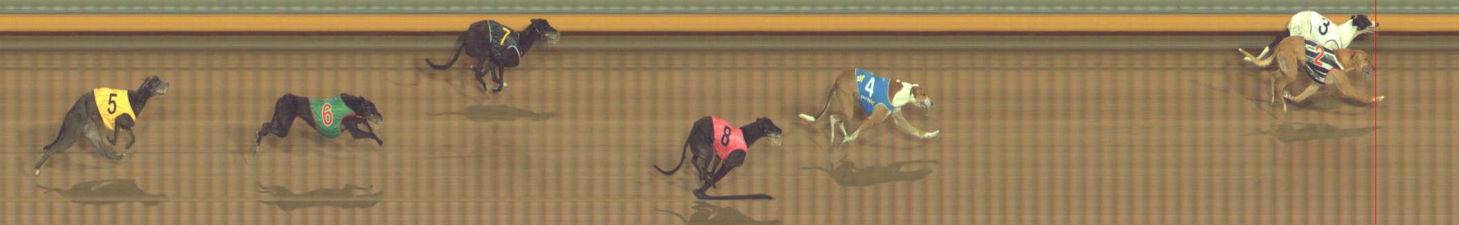 Photo finish for Bendigo Race 12