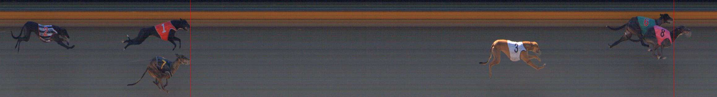 Photo finish for Bendigo Race 1