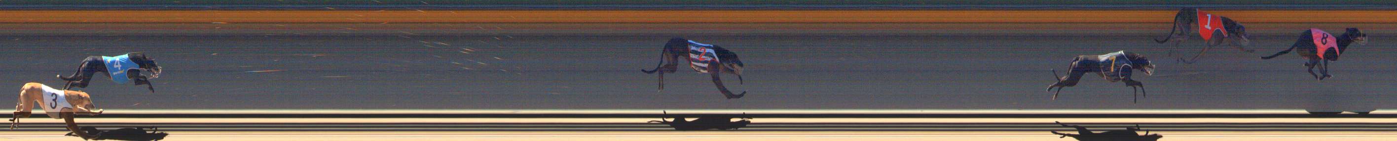 Photo finish for Bendigo Race 2