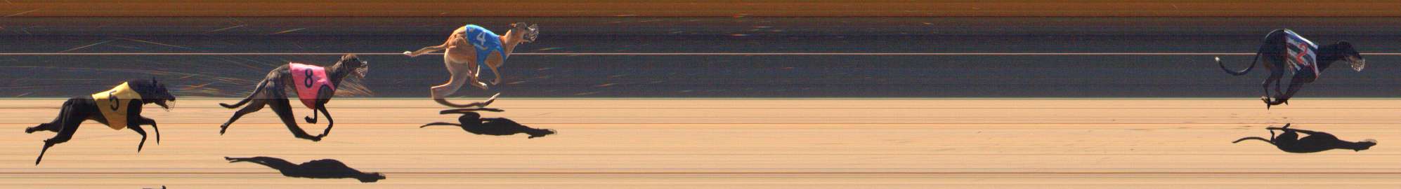Photo finish for Bendigo Race 3