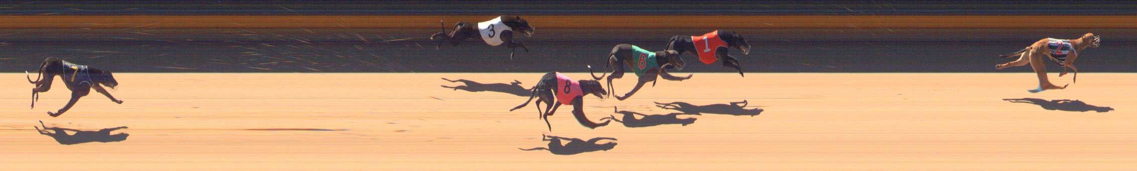 Photo finish for Bendigo Race 4