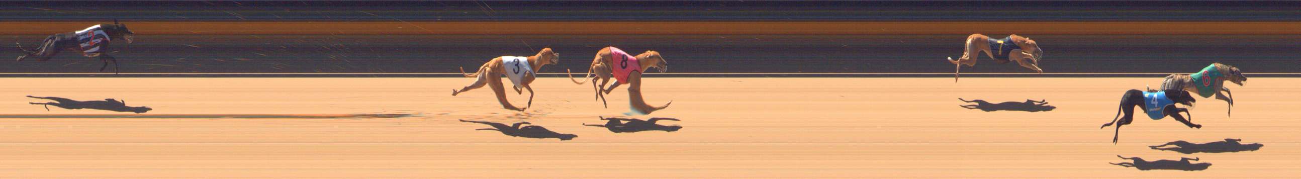 Photo finish for Bendigo Race 5