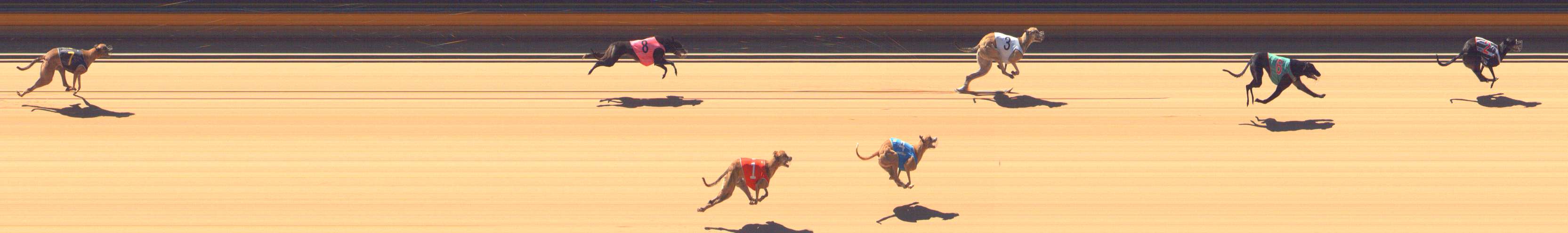 Photo finish for Bendigo Race 6