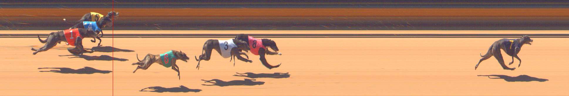 Photo finish for Bendigo Race 8