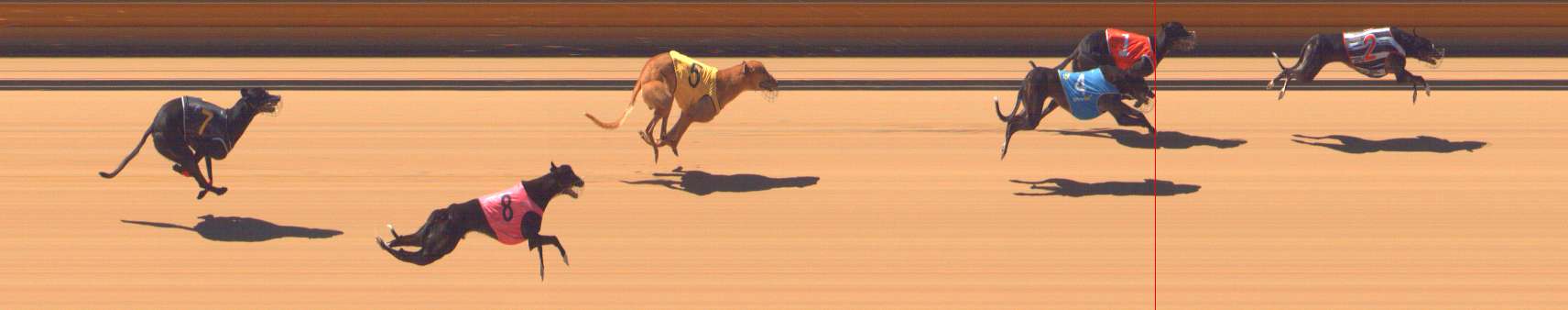 Photo finish for Bendigo Race 9