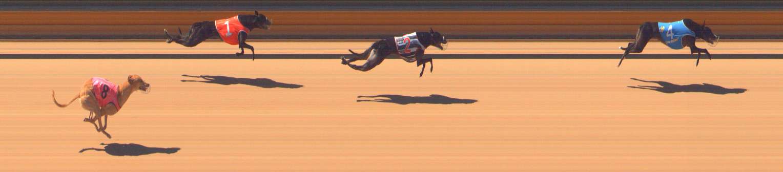 Photo finish for Bendigo Race 10